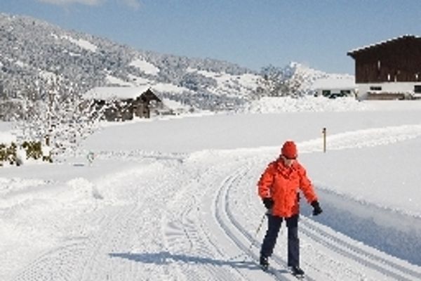 Loipenstub'n (Brixen im Thale)